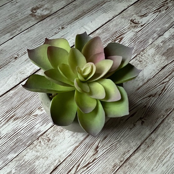 โ๐ผ๐ World Market Faux Succulent Mini Plants - Picture 5 of 14